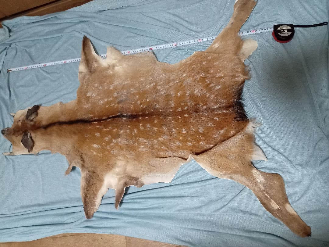 天然日本鹿の夏毛　ラグ