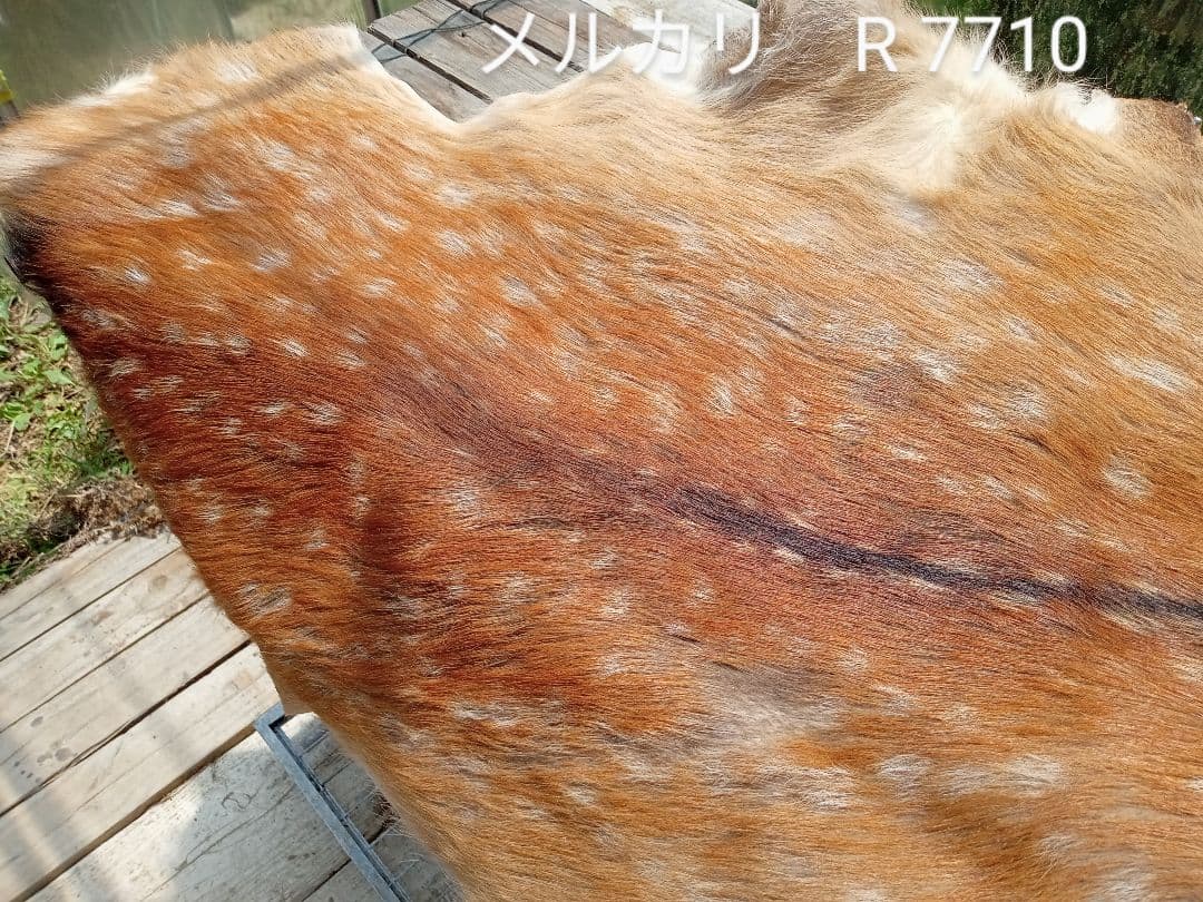 天然日本鹿の夏毛　ラグ