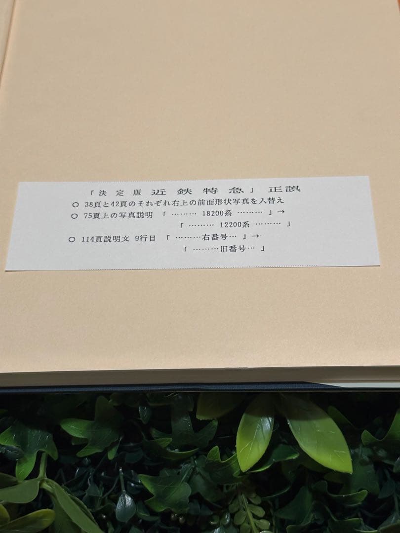 決定版 近鉄特急 寺本光照・林基一 共著 鉄道資料本