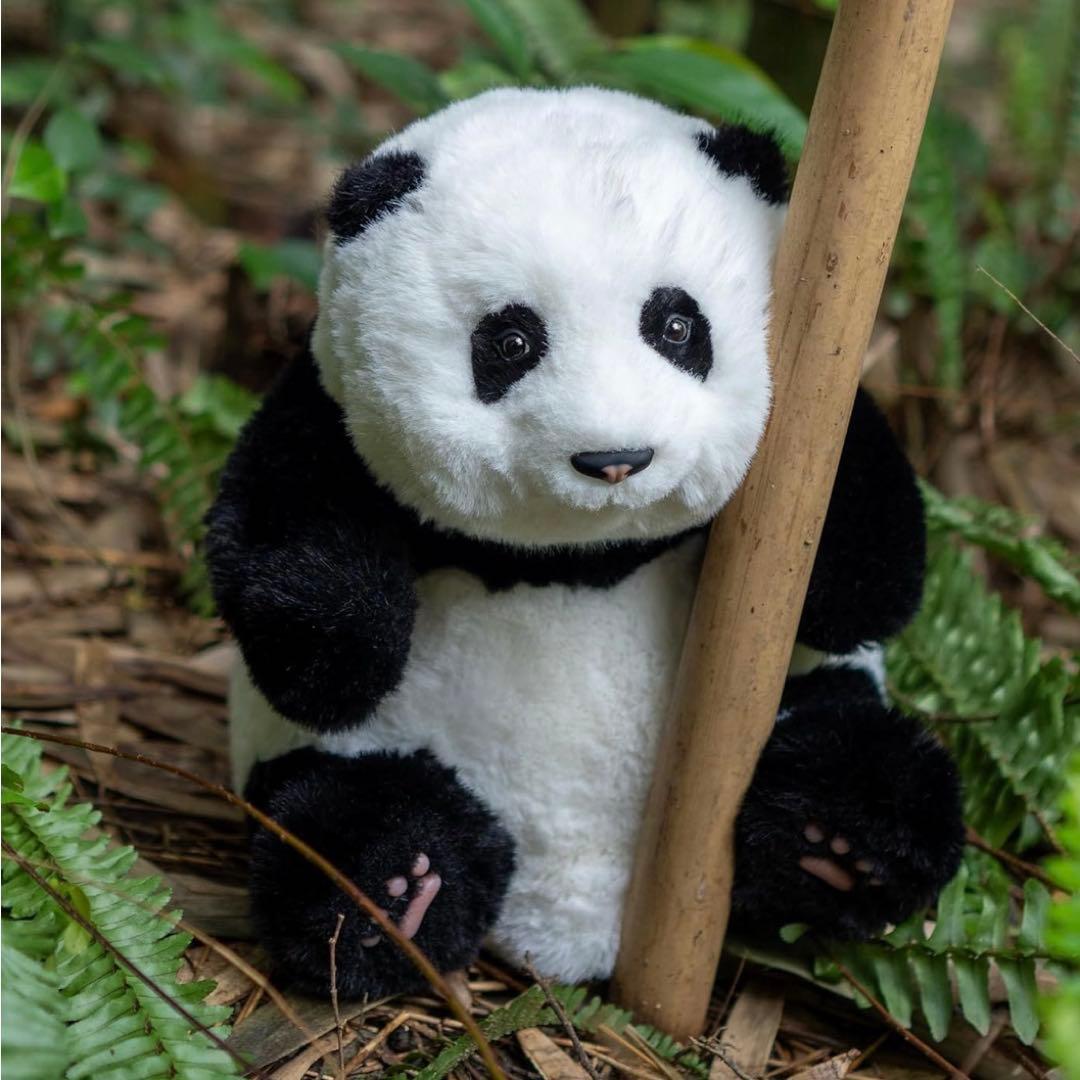Chongker お座り ぬいぐるみ パンダHehua 生後5ヶ月