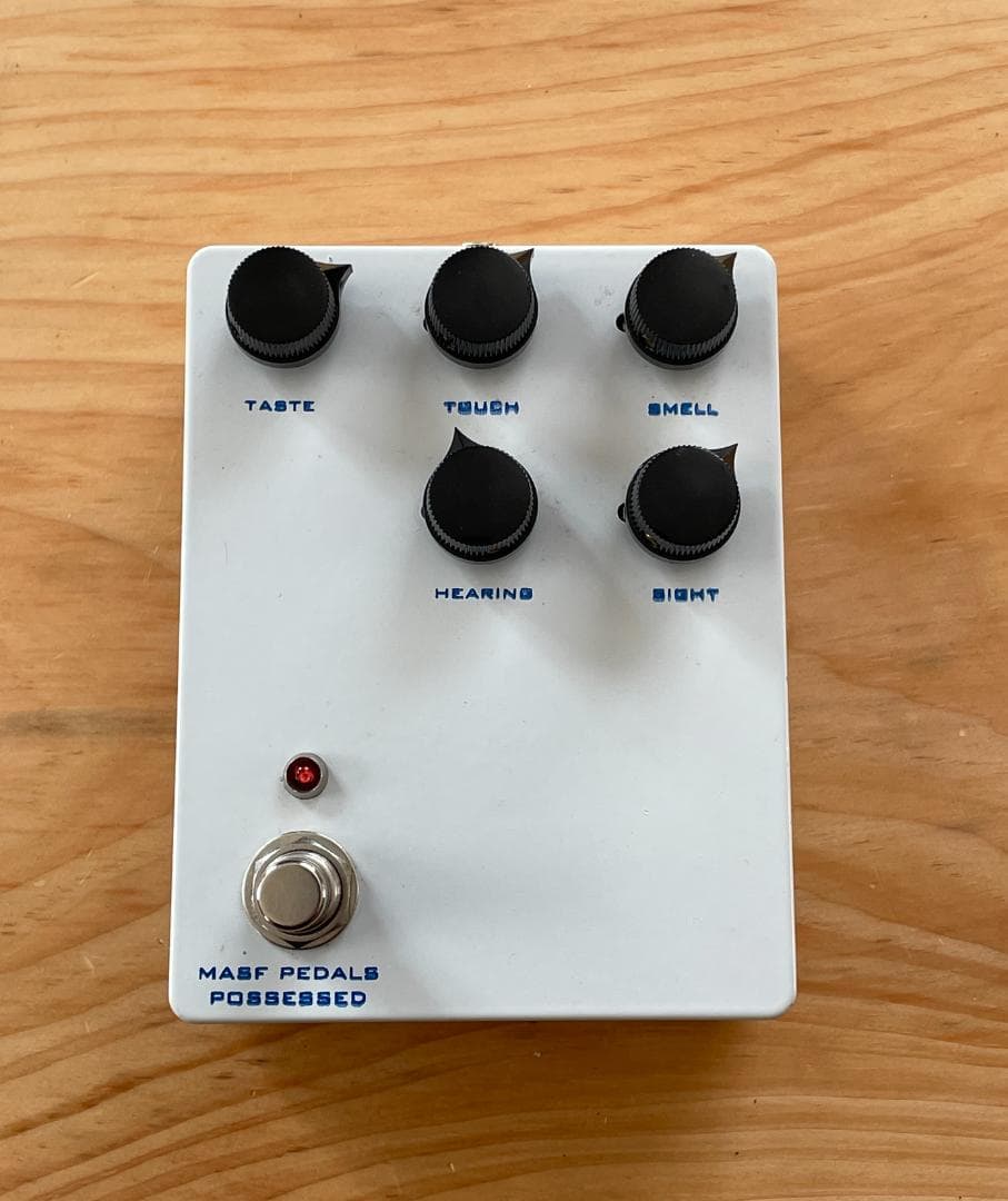 MASF Pedals POSSESSED グリッチ ランダム ディレイ ノイズ