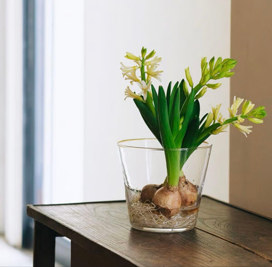 ミモレ別注　Sghr スガハラ　フラワーベース２種セット　定価21,800円