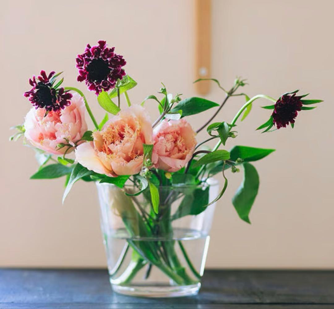 ミモレ別注　Sghr スガハラ　フラワーベース２種セット　定価21,800円