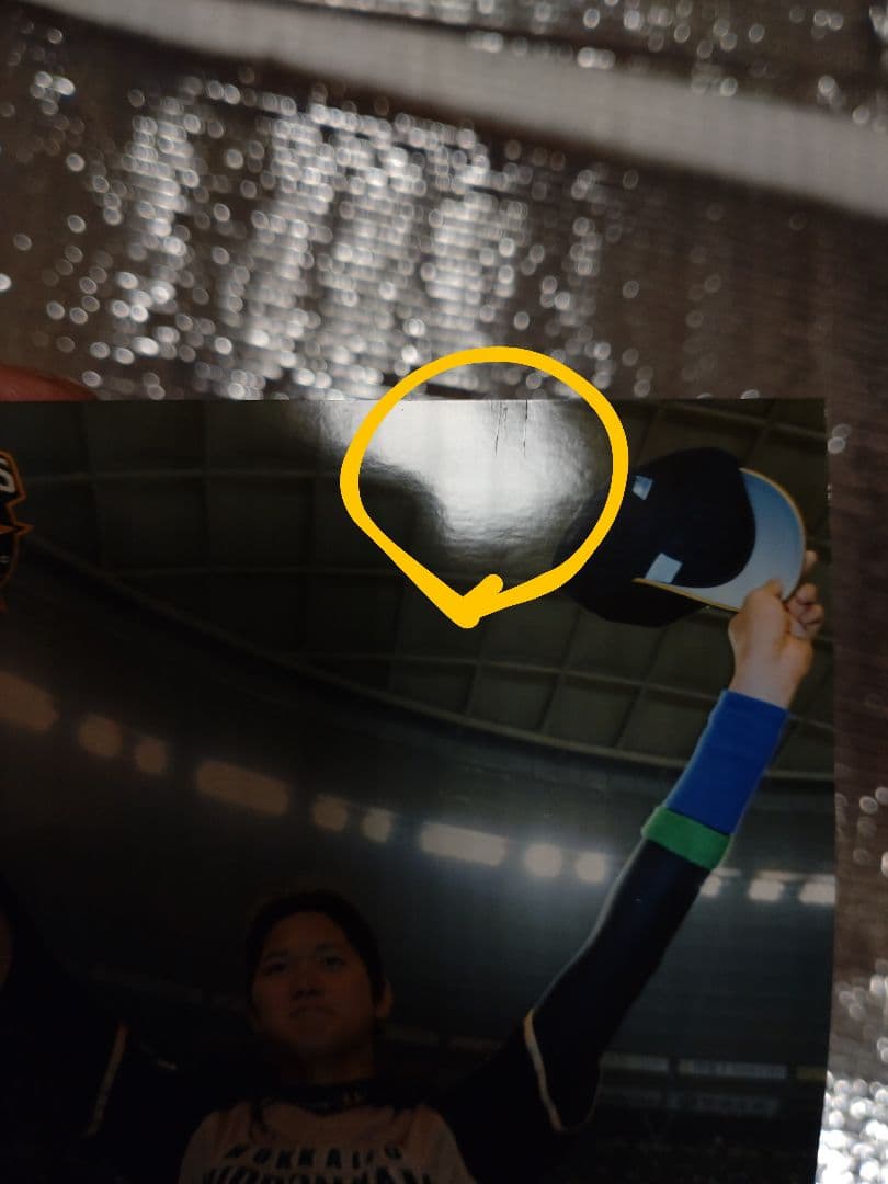 大谷翔平 2013 ハイライトフォト No.378 日本ハム 球団公式写真