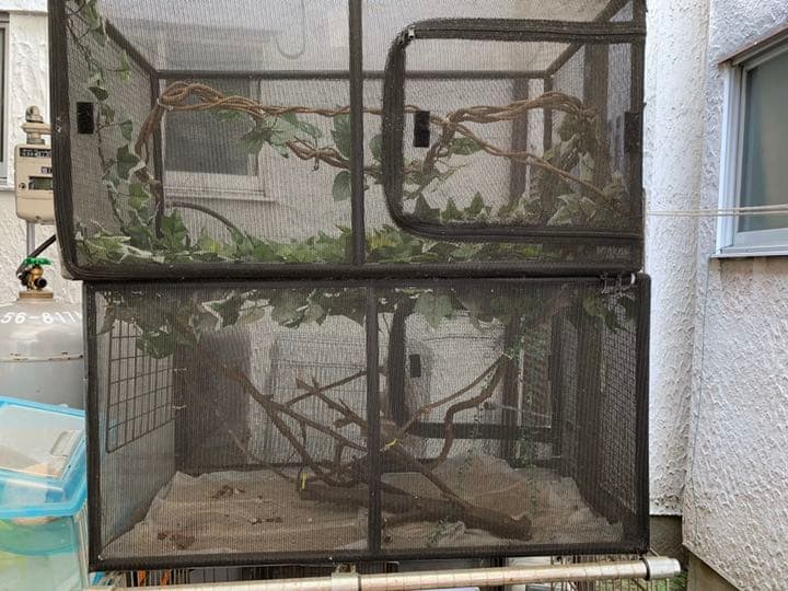 爬虫類、小動物 ケージ