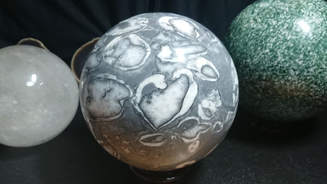 海貝石 6,36㎏ 165ミリ 強運を呼び込む 危険を回避 魔除け 健康運