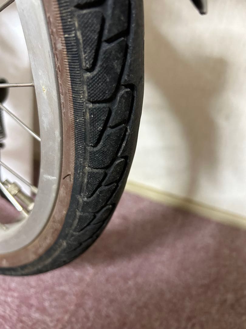 PAS SION 電動アシスト自転車