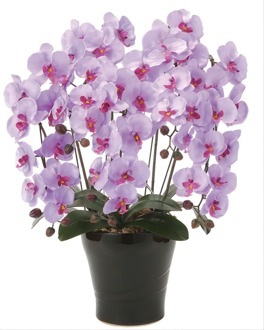 光触媒　人工観葉植物　ウォールグリーン　フェイクグリーン　クイーン胡蝶蘭5本立L