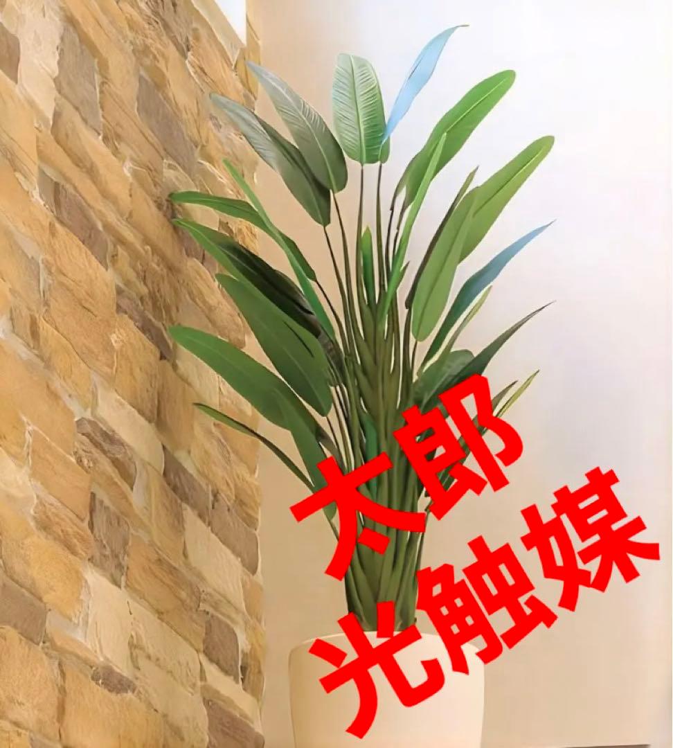光触媒　人工観葉植物　ウォールグリーン　トラベラーズパーム170