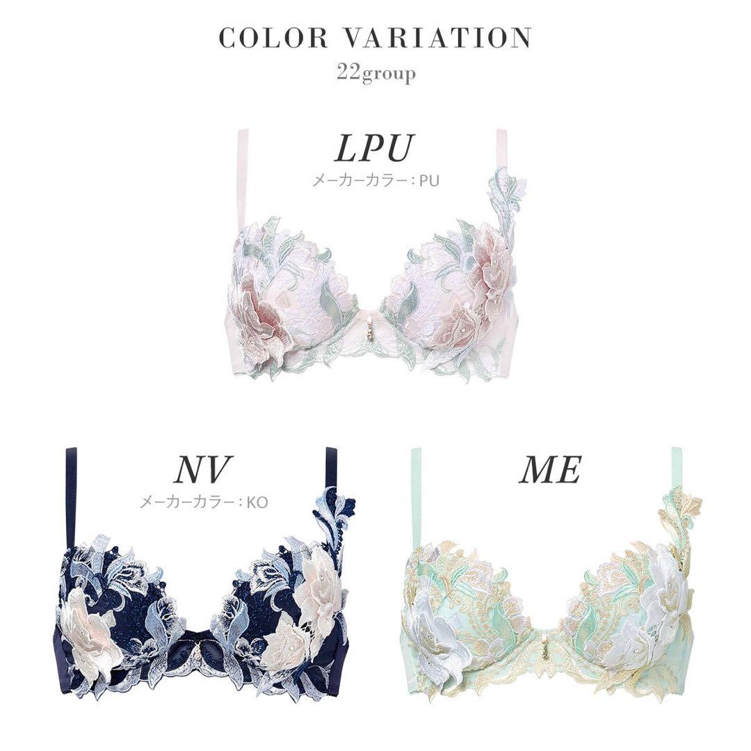 サルート22グループPアップブラソングセット(ネイビー)