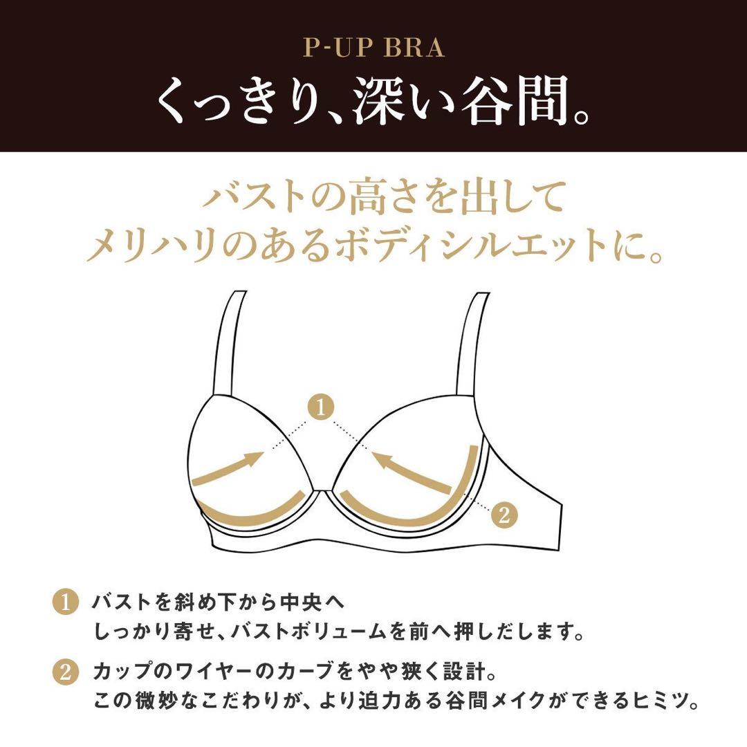 サルート22グループPアップブラソングセット(ネイビー)