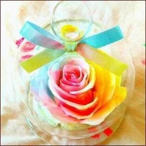 【楽天ランキング1位】プリザーブドフラワーパステルレインボーローズ　ガラスドーム