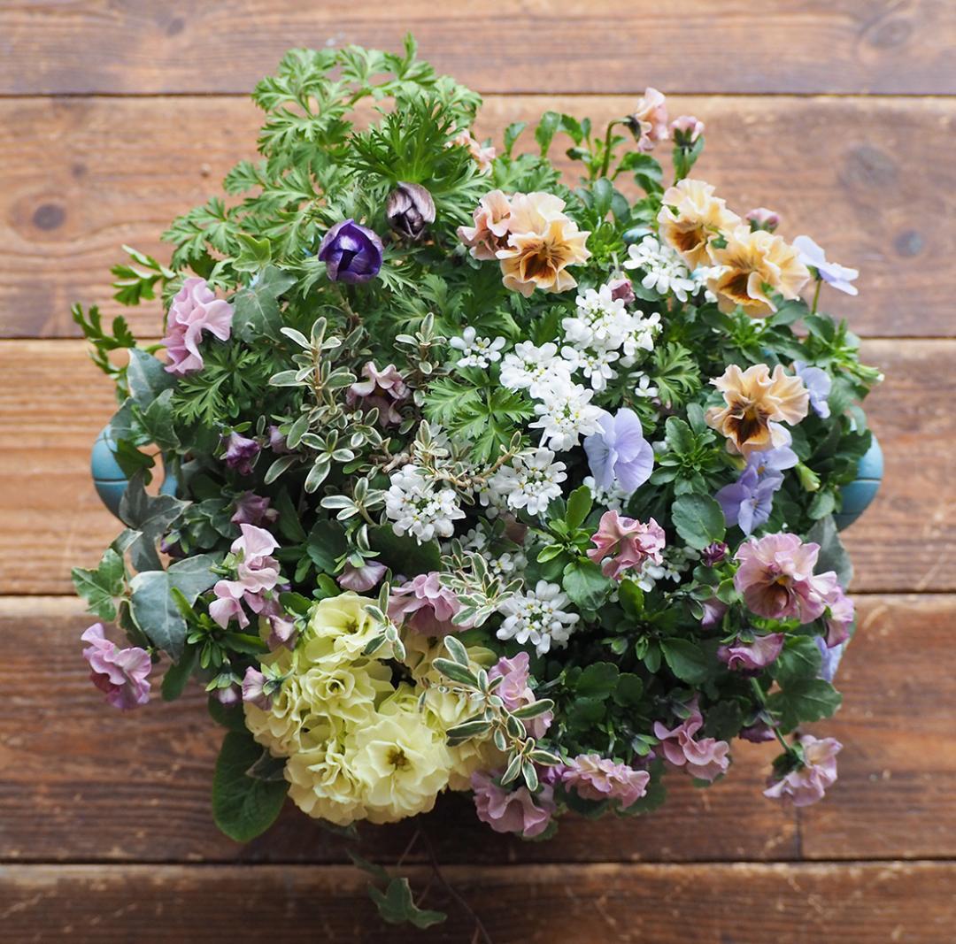 アンティークな大人ピンクの寄せ植え