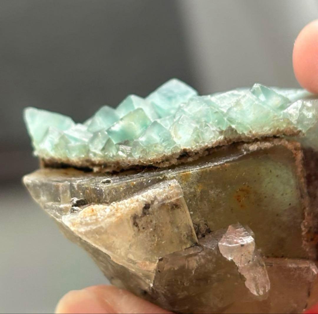 k*g様 レディアナベラ　toxic apple pocket フローライト　レ