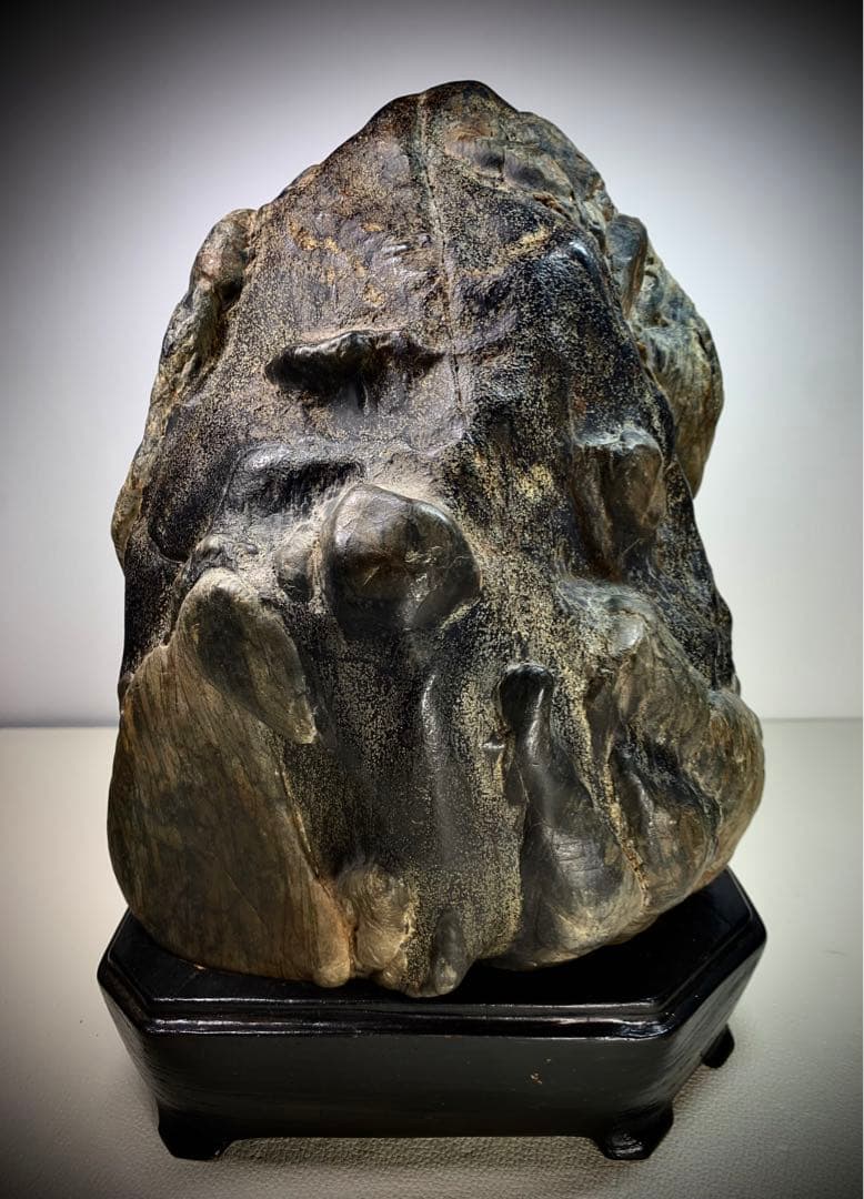 2602 瀬田川黒乱虎金梨地石  横22×高32(cm) 11.62kg