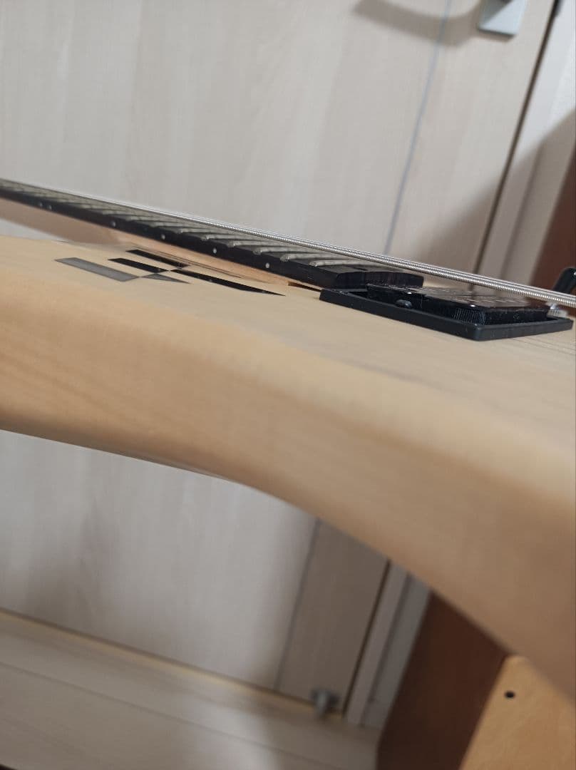 Usuke9　Washburn　N24 エレキギター　NUNO N4