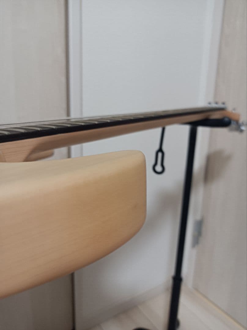 Usuke9　Washburn　N24 エレキギター　NUNO N4