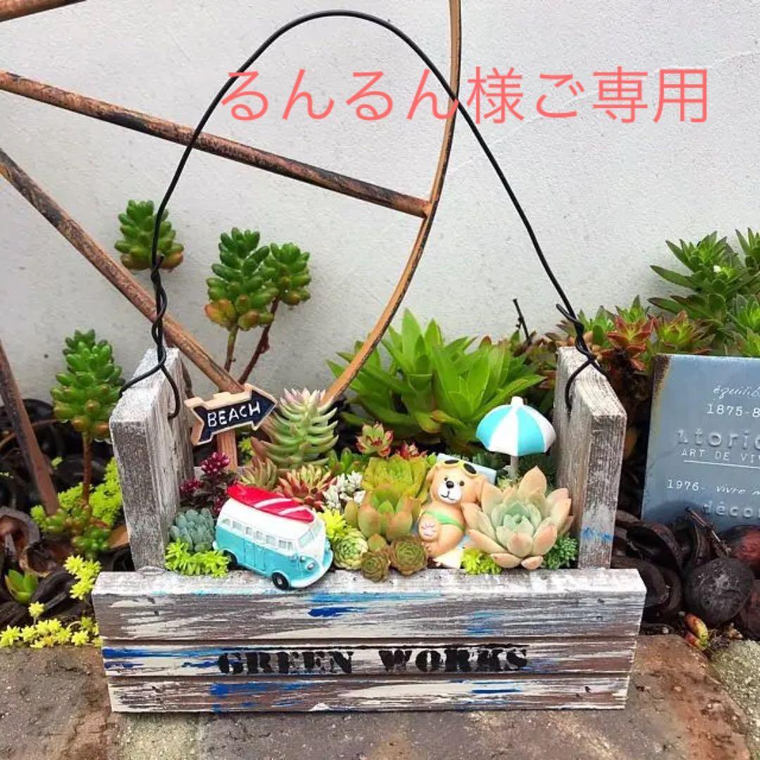 ★多肉植物　寄せ植え〜手作り木製プランター　ビーチ寄せ〜★