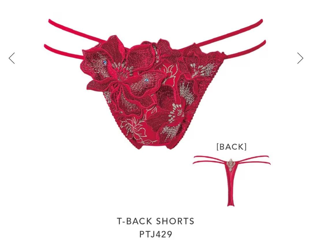 サルート 29グループ ガレ 店舗限定 新品タグ付P-upブラソング C75