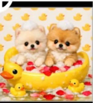 ご確認用　マーブル☆　ハンカチ　ねこちゃん柄　1/13