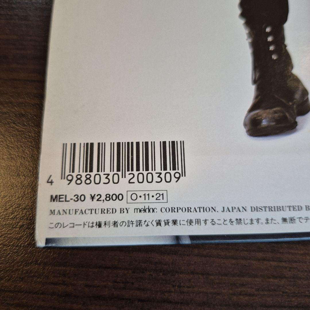 希少【初回プレス盤】ザ・ブルーハーツ／YOUNG AND PRETTY／LP