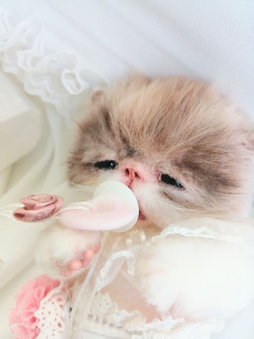 ママぁ～♡お世話セット♡エキゾチック子猫ちゃん♡アートドール♡ぬいぐるみ♡