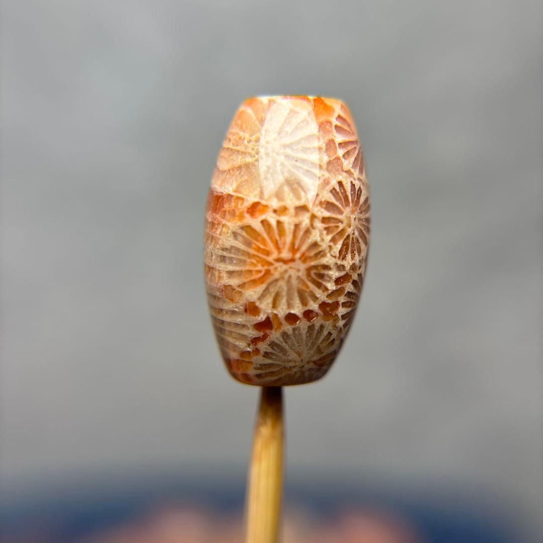 もんちゃんフォッシルコーラル　天珠　1-291