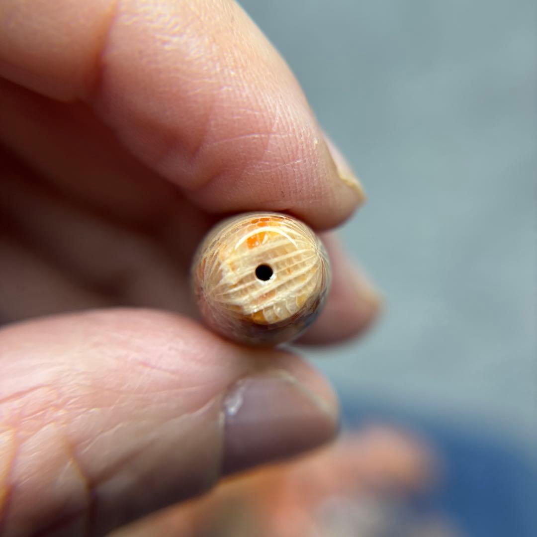 もんちゃんフォッシルコーラル　天珠　1-291