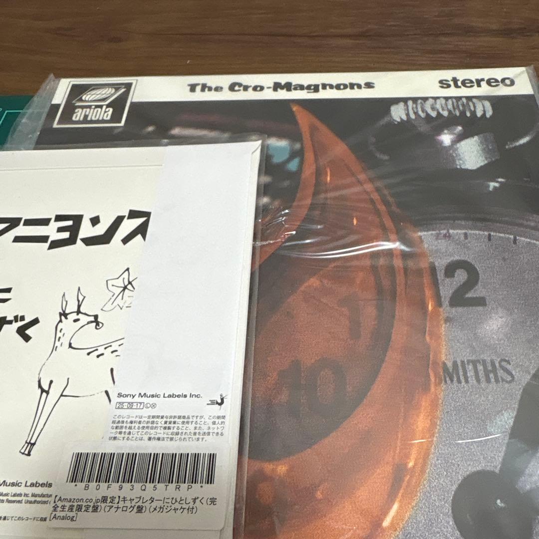 り*様 クロマニヨンズ。真島昌利。ブギ連　アナログ盤