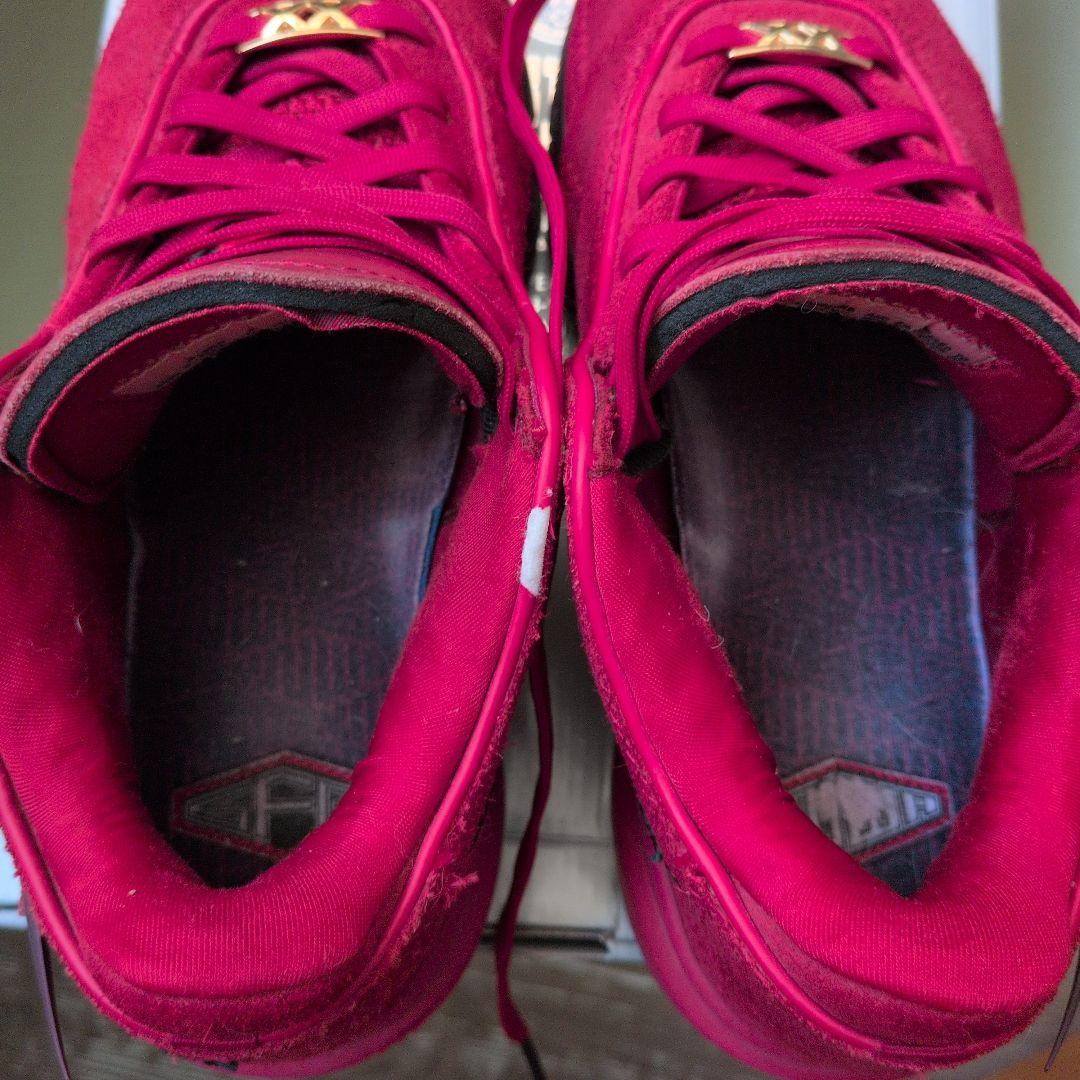 NIKE レブロン20リバプール 25cm