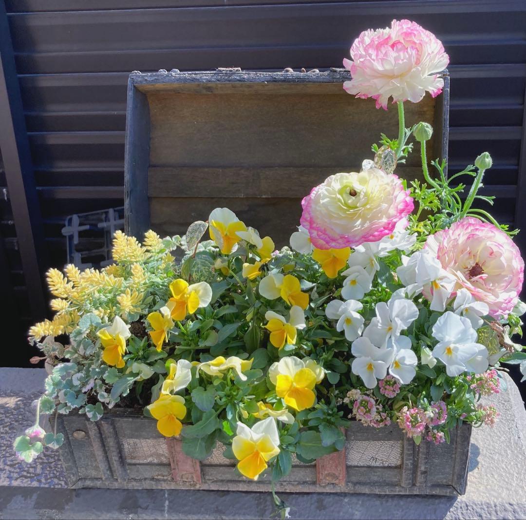 お花　寄せ植え　宝箱