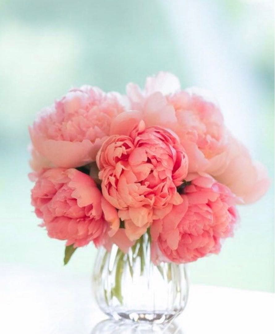 あいオリーブ38