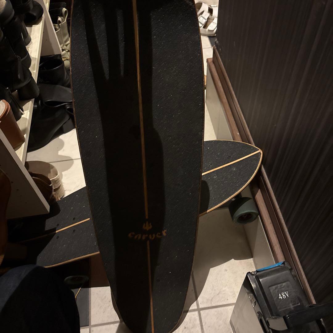 Carver ロングボード カラフルデザイン