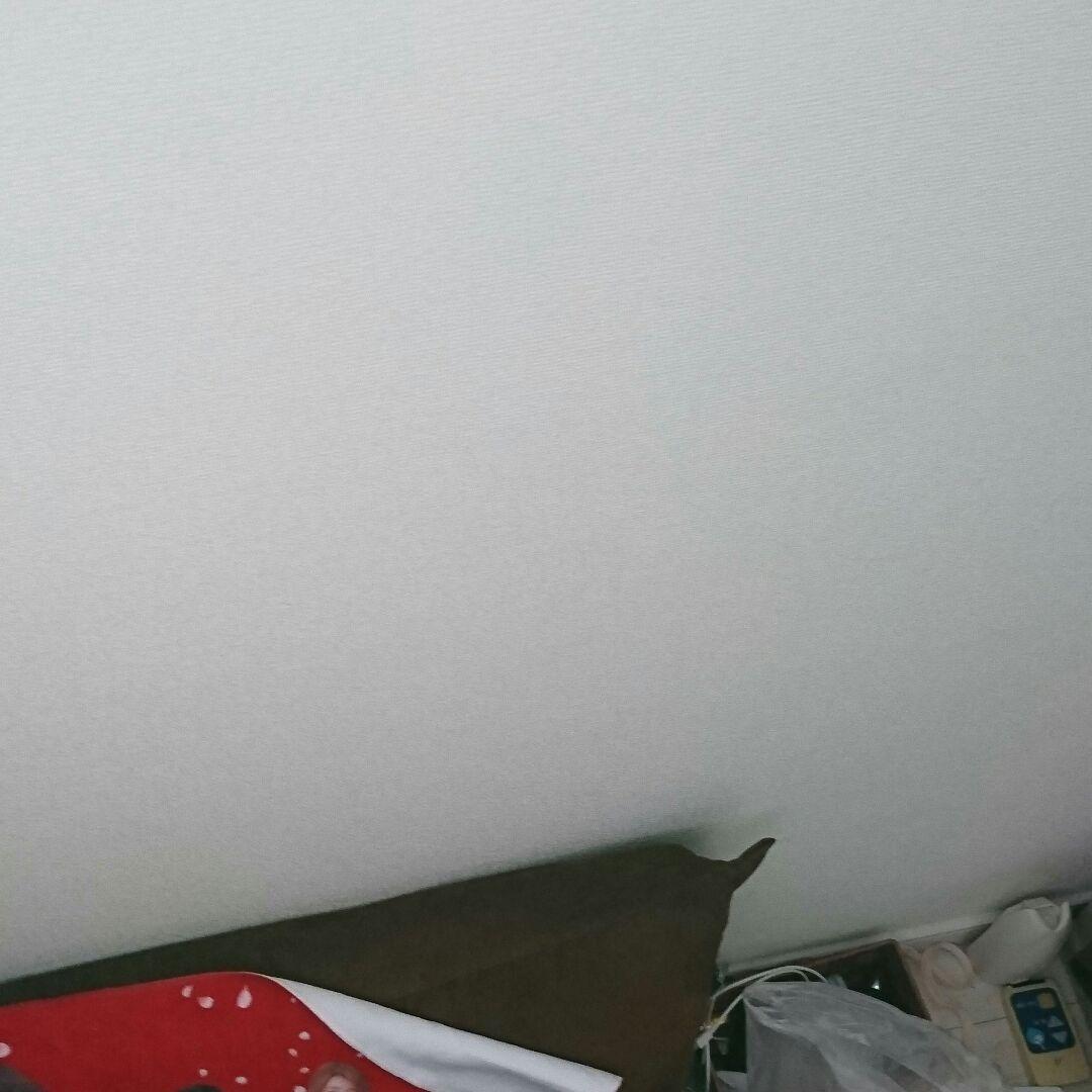 agさん商品が見つけれないので