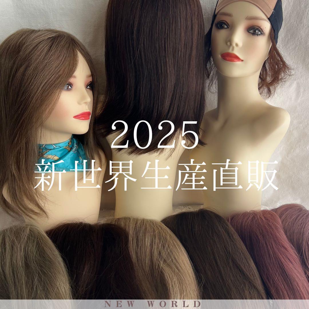 2025新世界ウィッグ　高級人毛100% レミー人毛　限定色　超ロングヘア