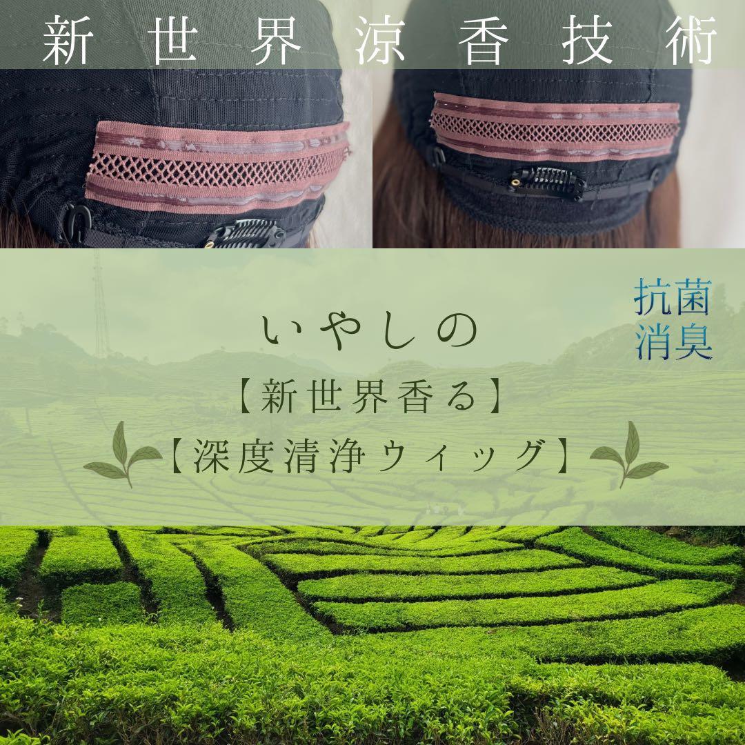 2025新世界ウィッグ　高級人毛100% レミー人毛　限定色　超ロングヘア