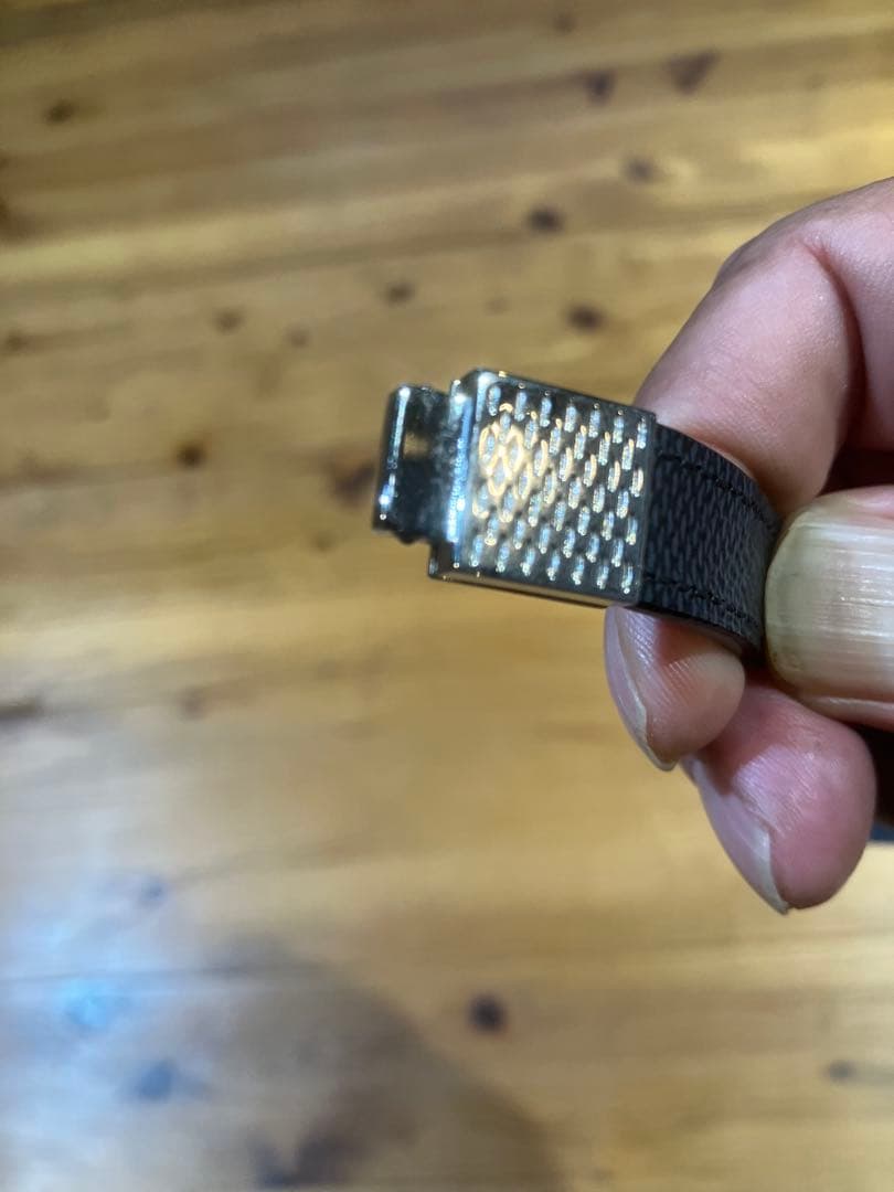 ダイバーハヤゴン　　LOUIS VUITTON ルイ・ヴィトン