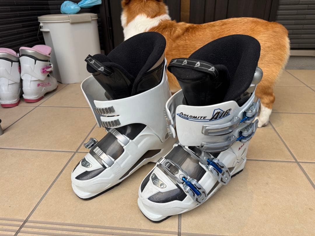 VÖLKL スキー板 ピンク青グラデーション　ブーツ　ストック3点セット