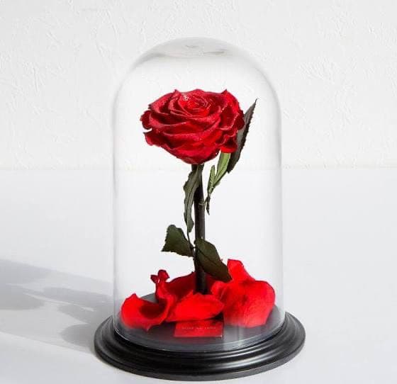 ダイヤモンドローズ rosegallery