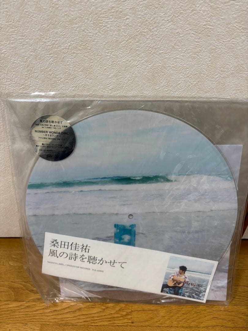 名*し様 サザン(桑田佳祐)レコードコレクション