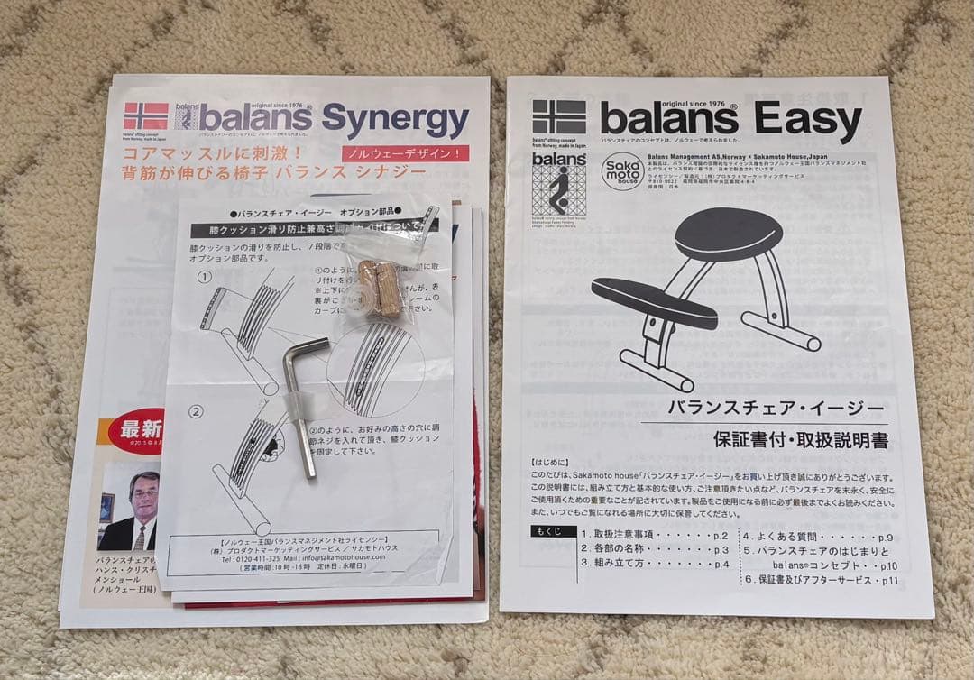 サカモトハウス　バランスチェア・イージー　ライトグリーン カバー ソフトブラウン