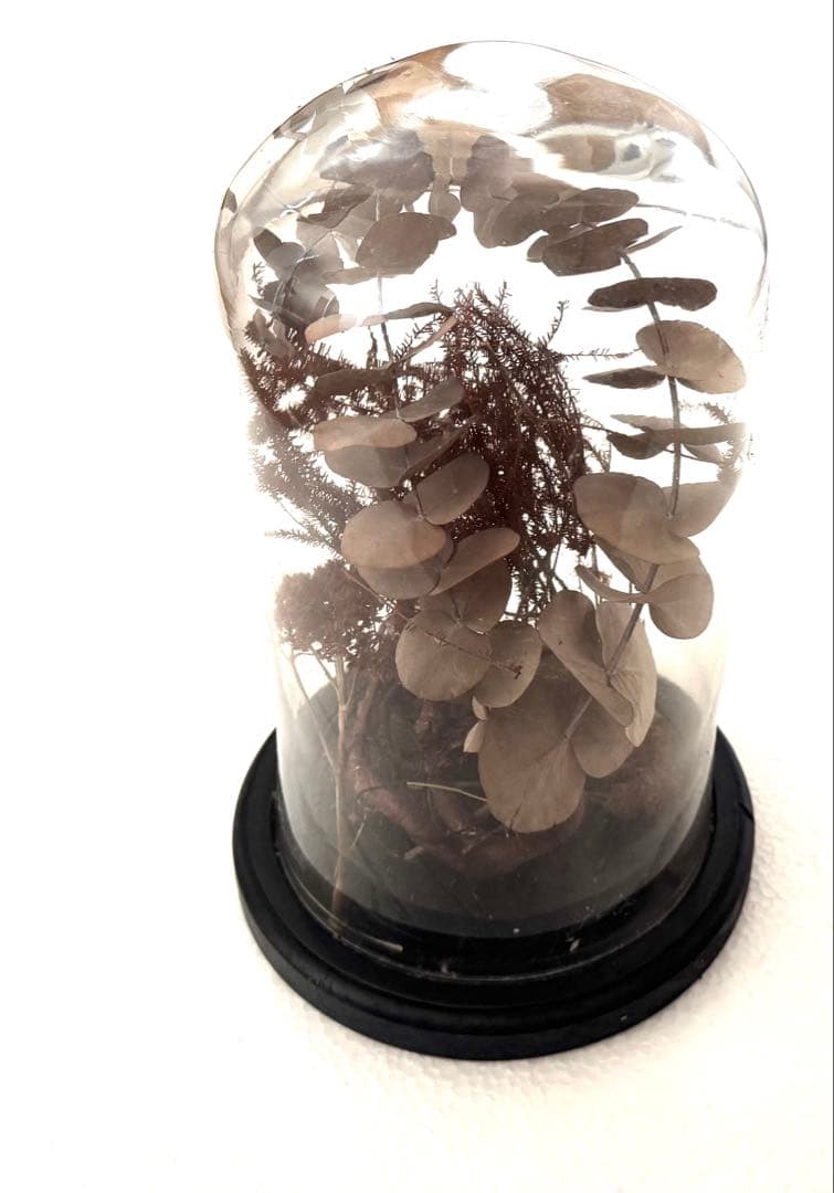 アンティーク ドライフラワー グラスドーム undercover