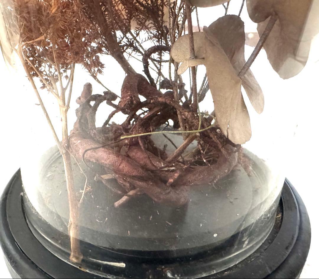 アンティーク ドライフラワー グラスドーム undercover