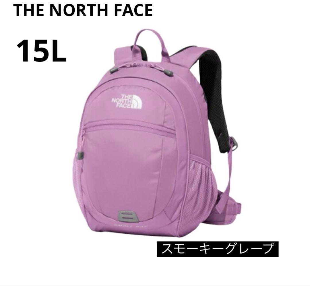 【新品】ザノースフェイス　スモールデイ　リュック　バックパック　15L