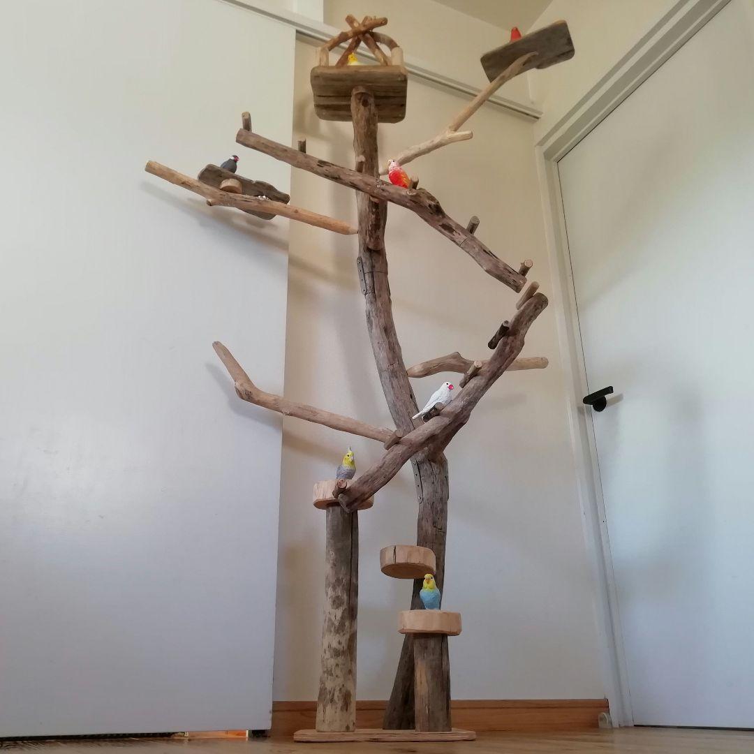 fm バードアスレチックジム 天然木 自然木 流木 止まり木 インコ