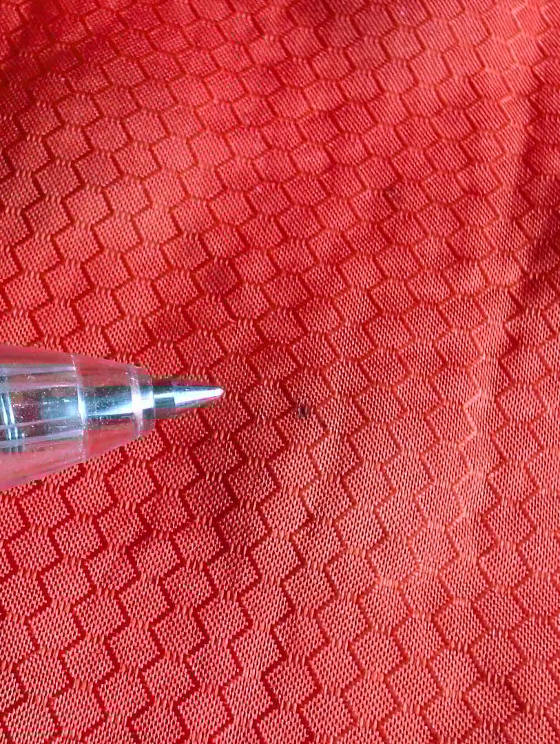 サーマレスト プロライトR マット THERMAREST ProLite R