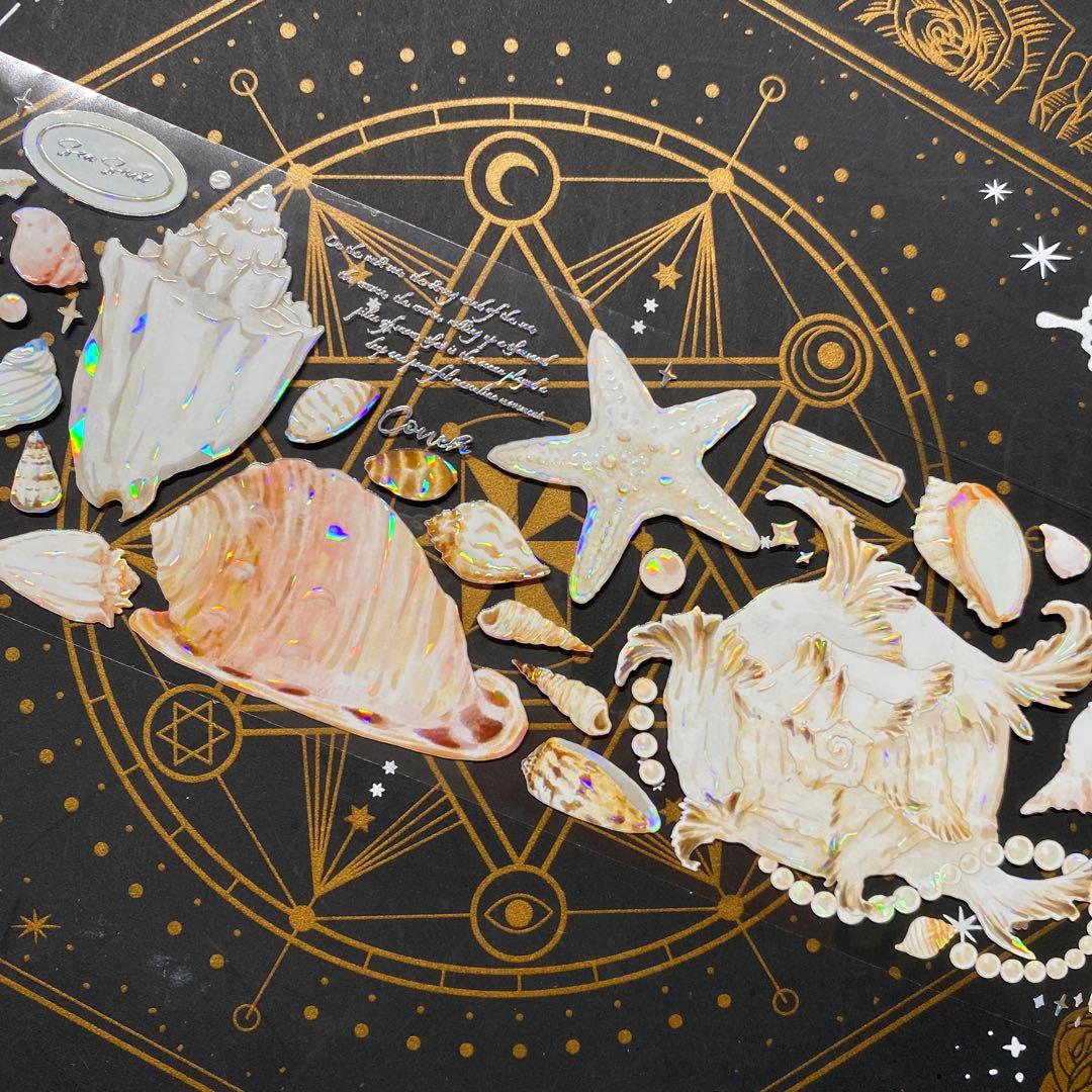 【9262】海外　マステ　中古巻　貝殻光マスキングテープ　貝　装飾系