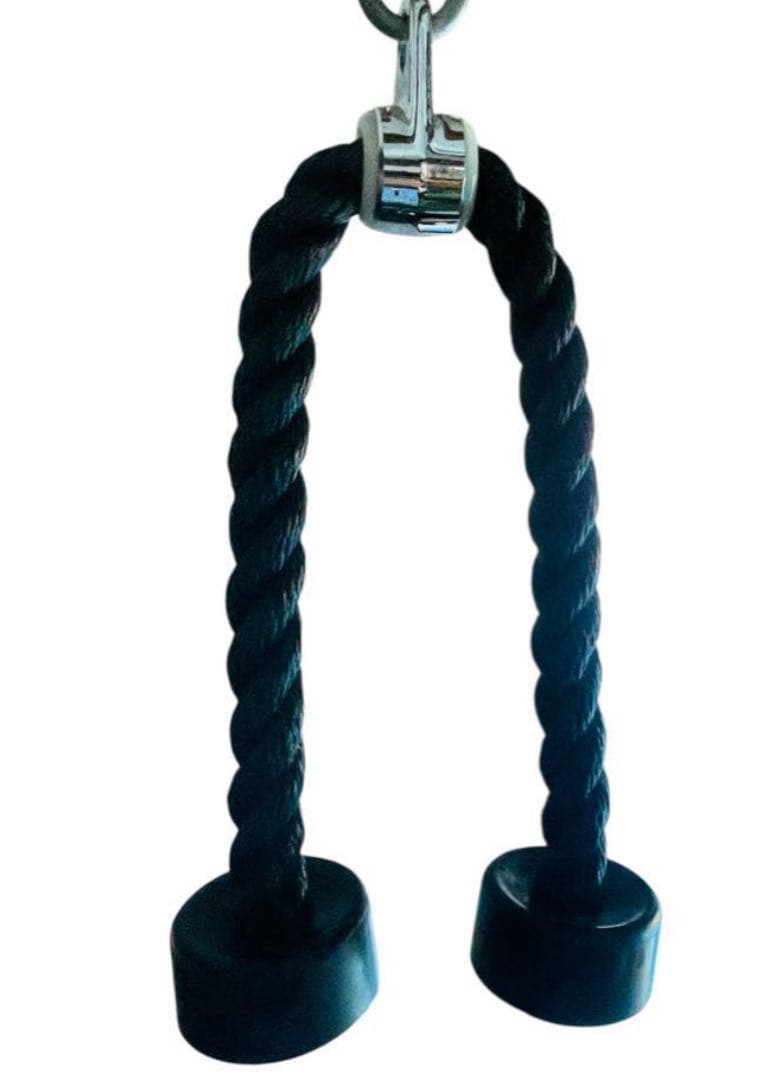 Ivanko イバンコ オリンピックラバープレート105kg➕トライセプスロープ