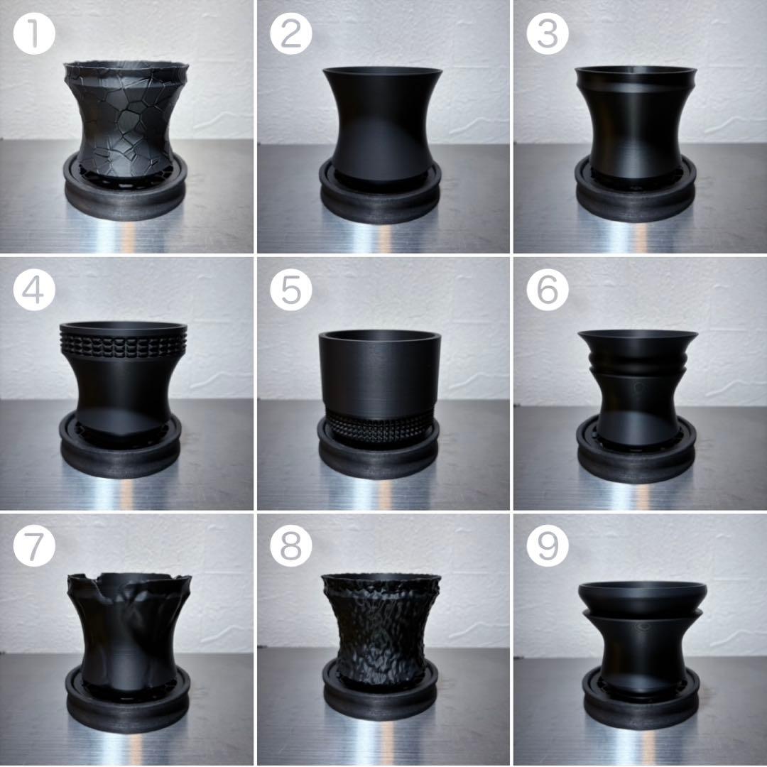 ホリダ グラキリス