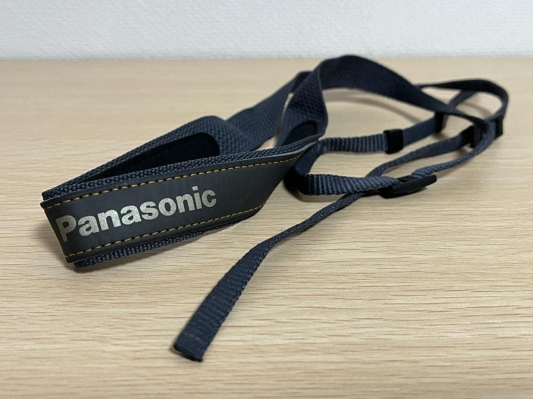 Panasonic パナソニック NV-MX3000 デジタルビデオカメラ